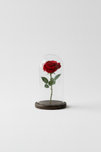 Segnaposto "Promessa"